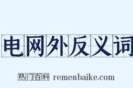 电网外反义词是什么意思的图片